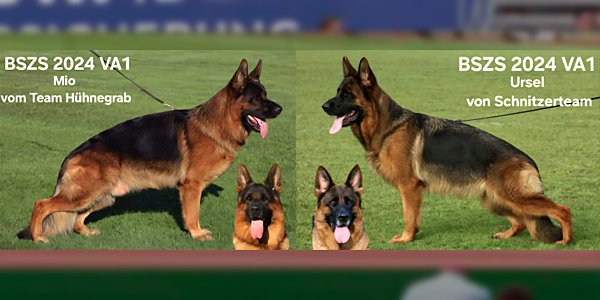 Sieger Alemán Nüremberg 2024