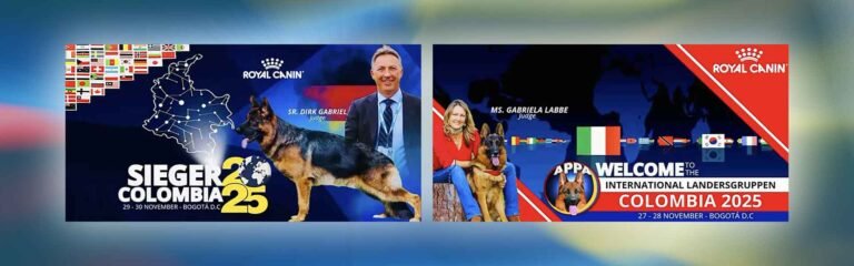 Sieger APPA Colombia 2025